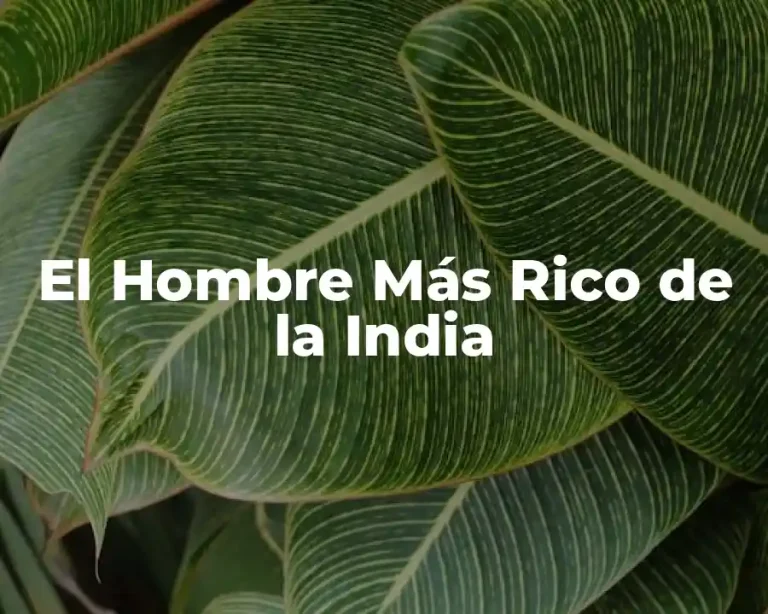 El Hombre Más Rico de la India