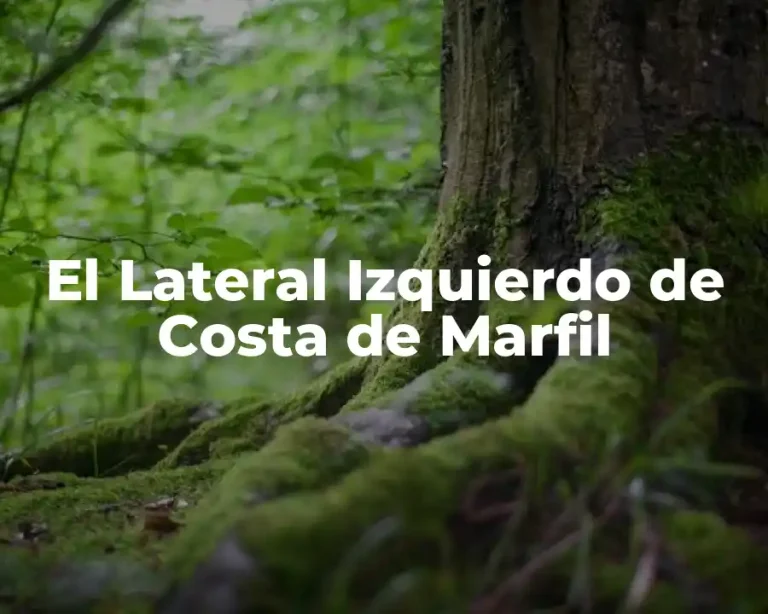 El Lateral Izquierdo de Costa de Marfil