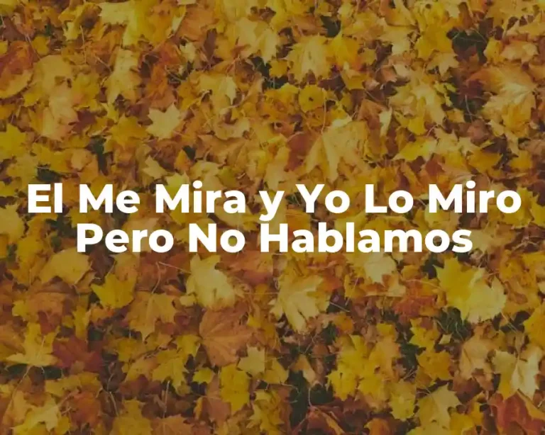 El Me Mira y Yo Lo Miro Pero No Hablamos