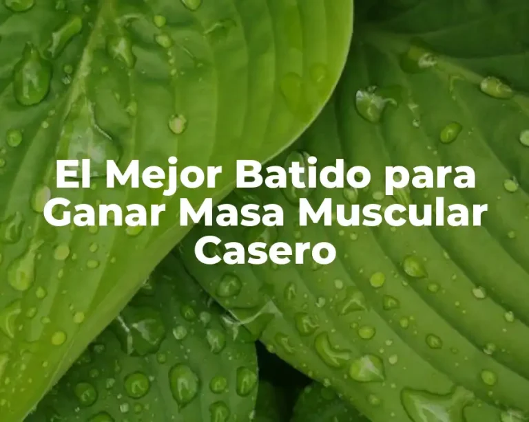 El Mejor Batido para Ganar Masa Muscular Casero
