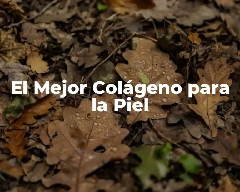 El Mejor Colágeno para la Piel