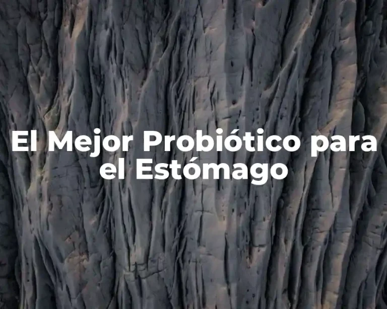 El Mejor Probiótico para el Estómago