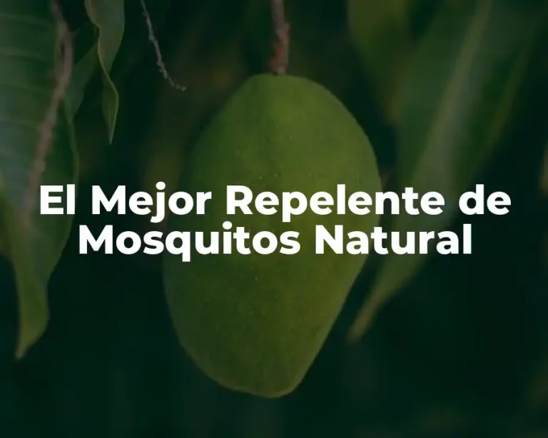 El Mejor Repelente de Mosquitos Natural