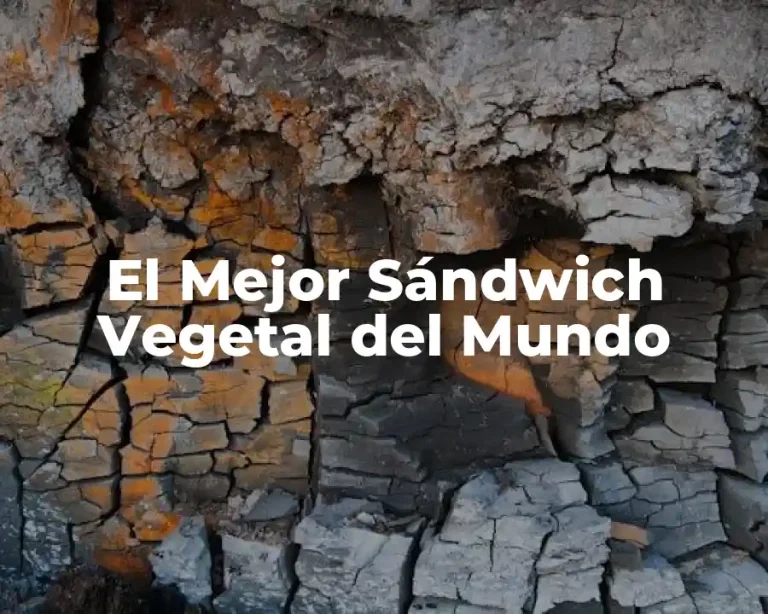 El Mejor Sándwich Vegetal del Mundo