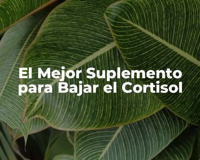 El Mejor Suplemento para Bajar el Cortisol
