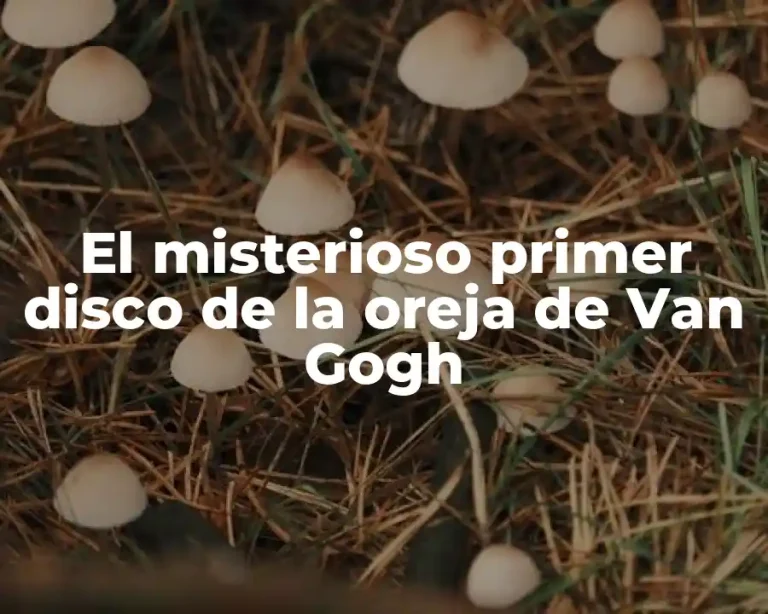 El misterioso primer disco de la oreja de Van Gogh