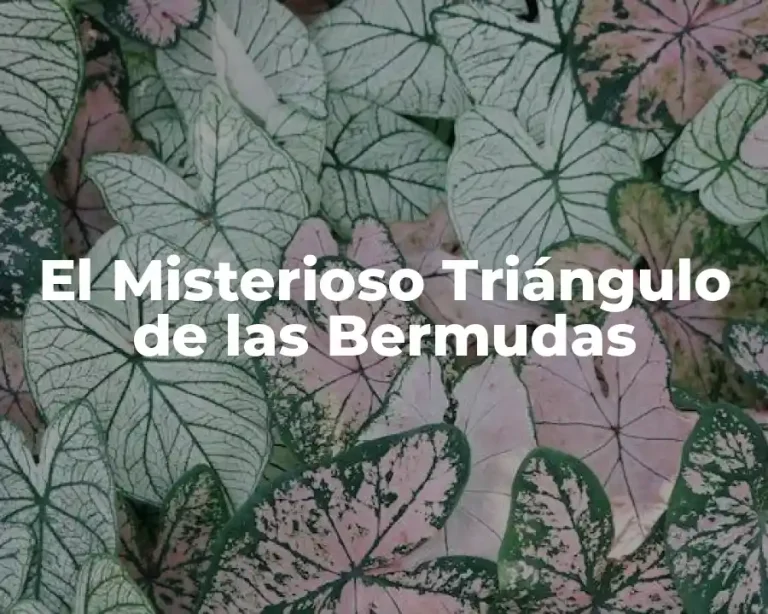 El Misterioso Triángulo de las Bermudas
