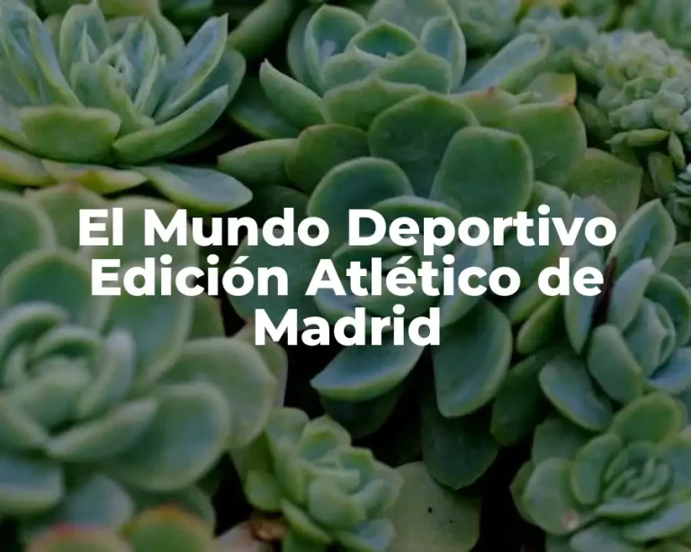 El Mundo Deportivo Edición Atlético de Madrid