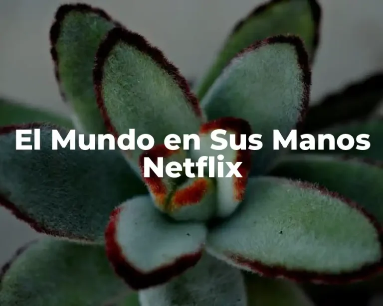 El Mundo en Sus Manos Netflix