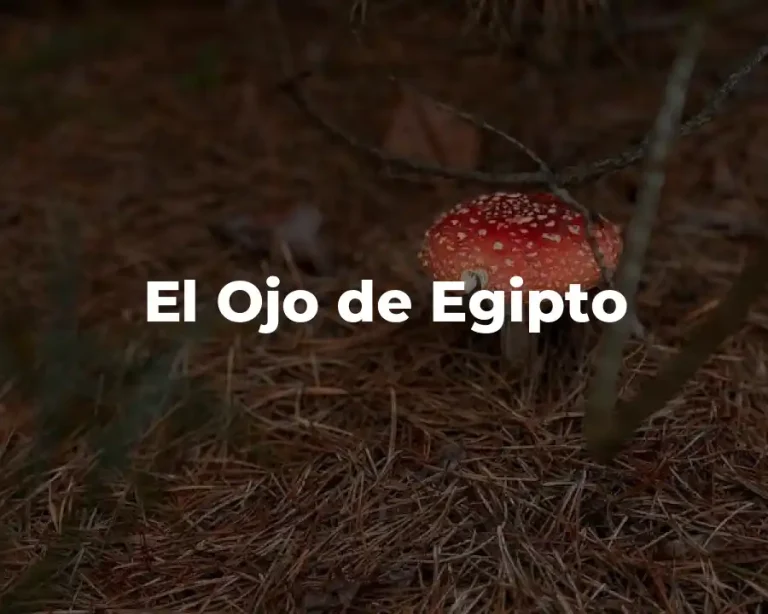 El Ojo de Egipto