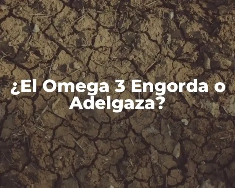 ¿El Omega 3 Engorda o Adelgaza?