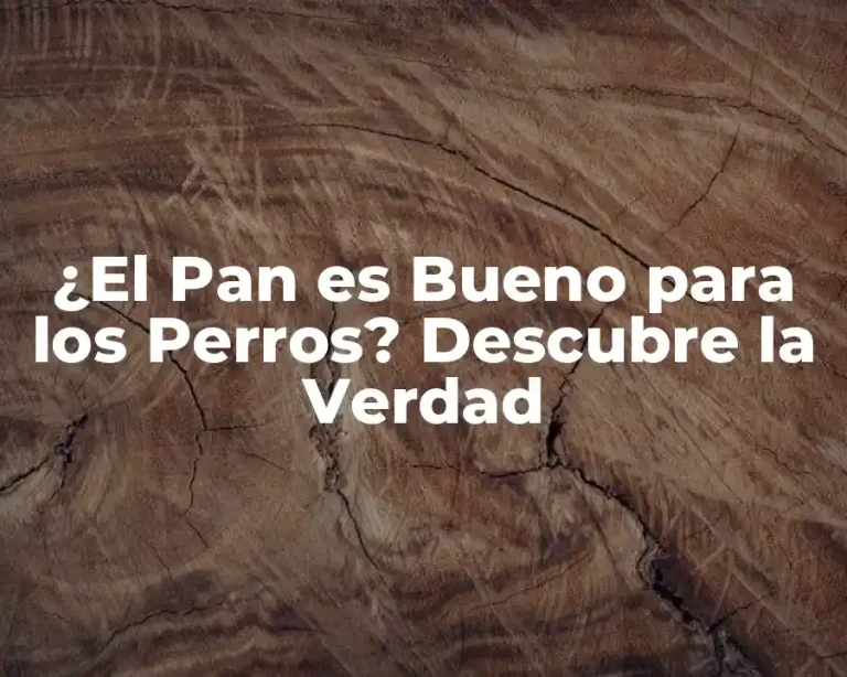 ¿El Pan es Bueno para los Perros? Descubre la Verdad