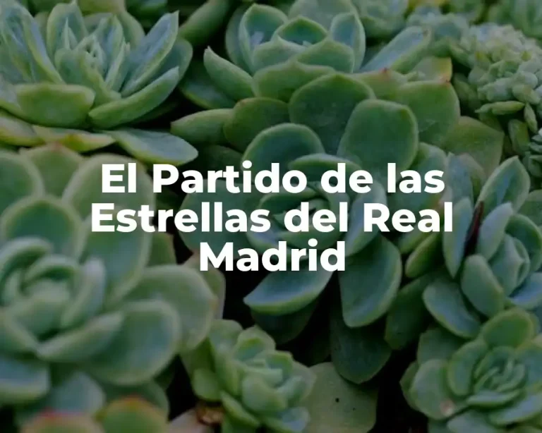 El Partido de las Estrellas del Real Madrid