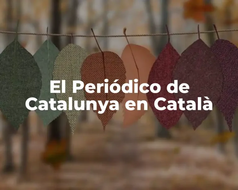 El Periódico de Catalunya en Català