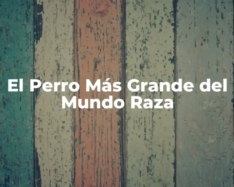 El Perro Más Grande del Mundo Raza