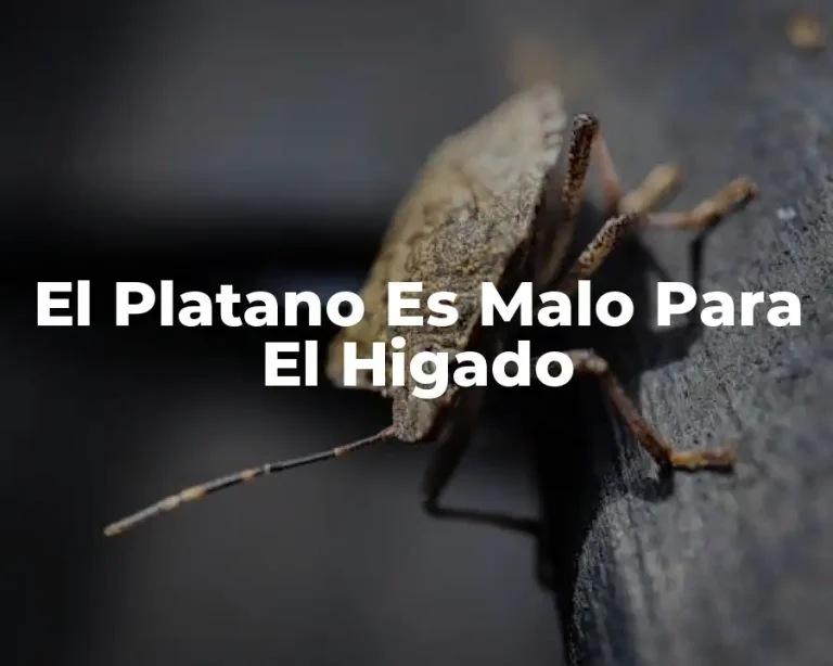 El Platano Es Malo Para El Higado
