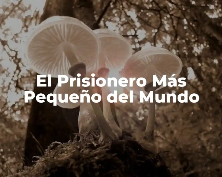 El Prisionero Más Pequeño del Mundo