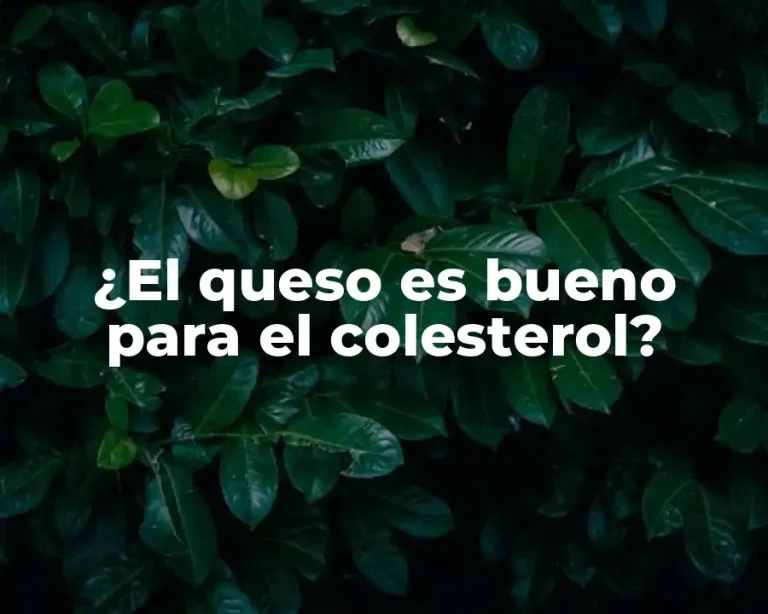 ¿El queso es bueno para el colesterol?
