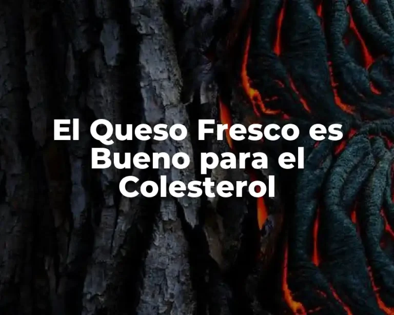El Queso Fresco es Bueno para el Colesterol