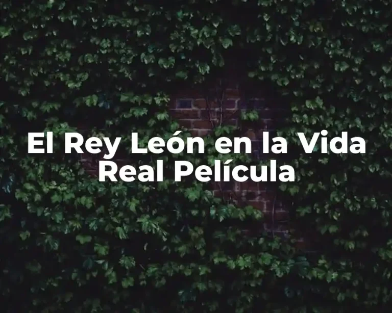 El Rey León en la Vida Real Película
