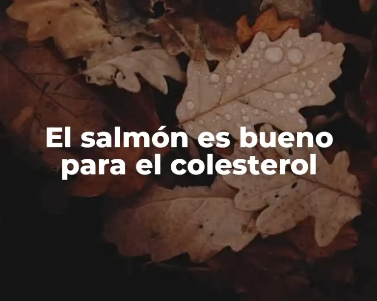 El salmón es bueno para el colesterol