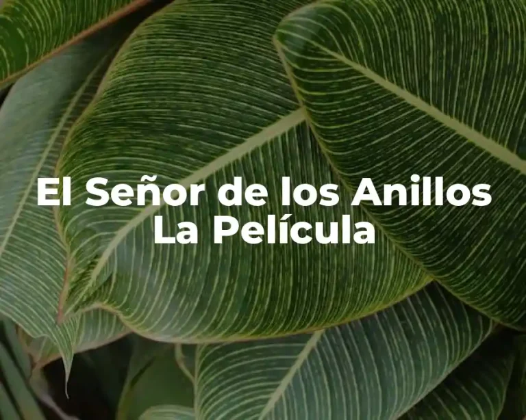 El Señor de los Anillos La Película