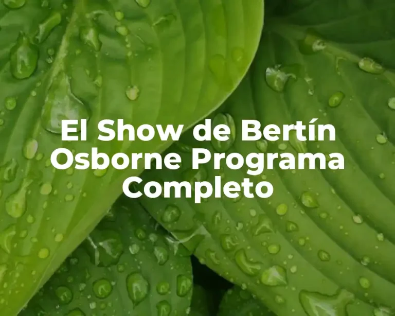 El Show de Bertín Osborne Programa Completo