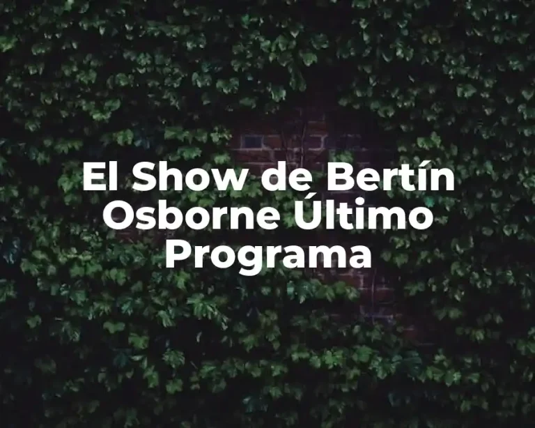 El Show de Bertín Osborne Último Programa