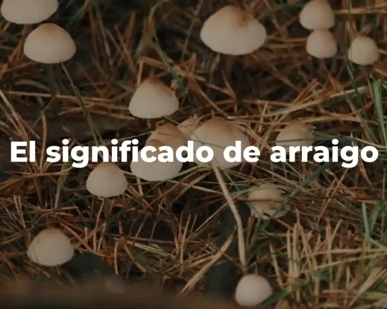 El significado de arraigo