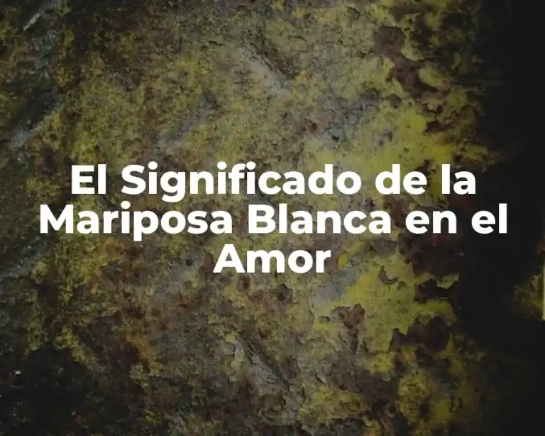 El Significado de la Mariposa Blanca en el Amor