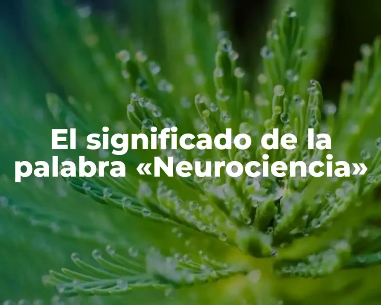 El significado de la palabra «Neurociencia»