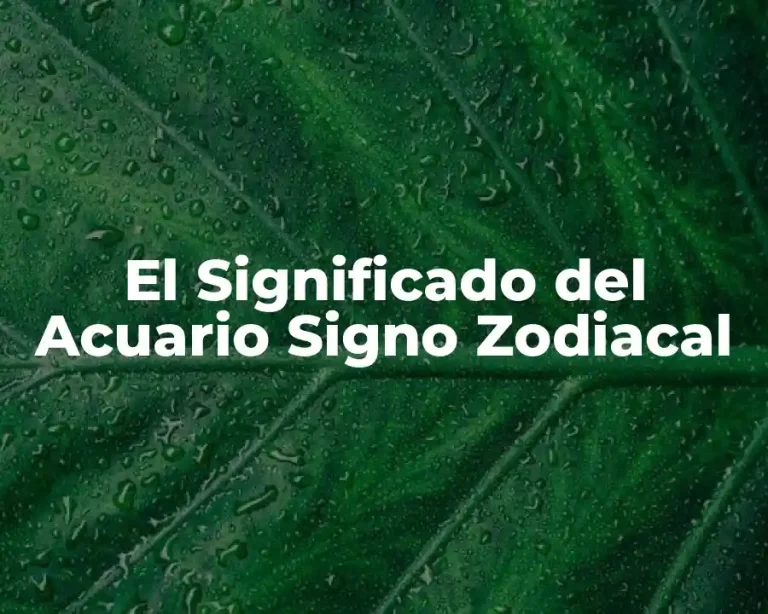 El Significado del Acuario Signo Zodiacal