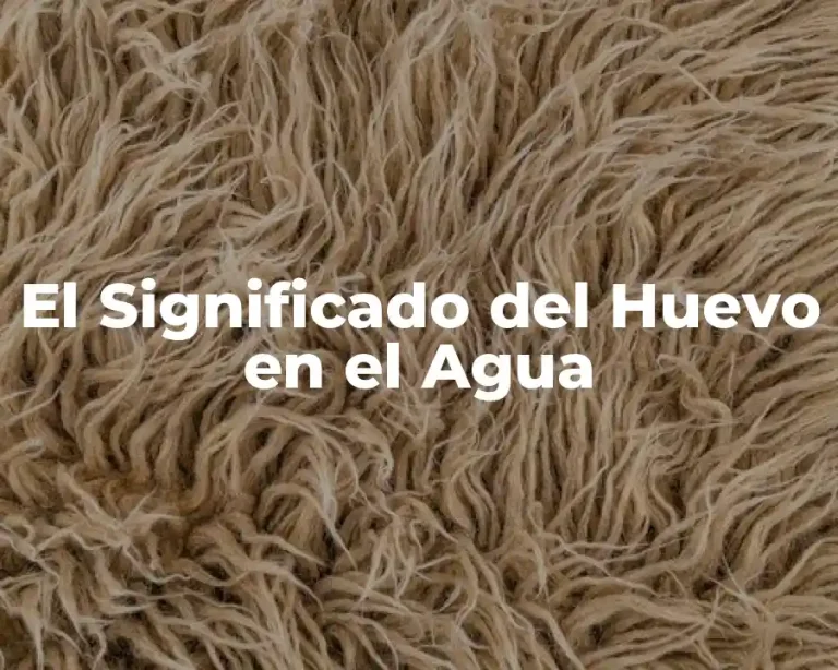 El Significado del Huevo en el Agua