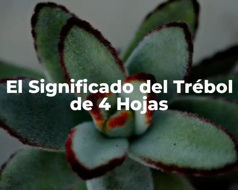 El Significado del Trébol de 4 Hojas