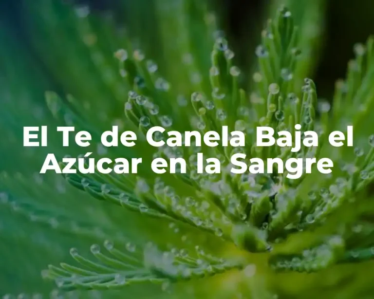 El Te de Canela Baja el Azúcar en la Sangre