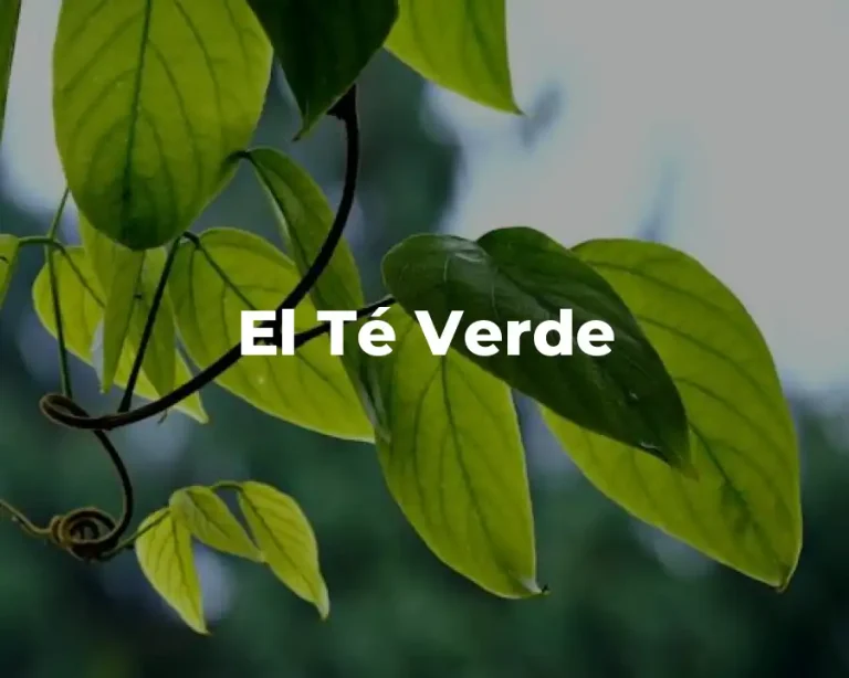 El Té Verde