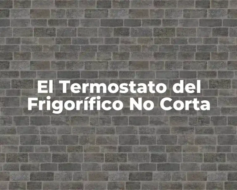 El Termostato del Frigorífico No Corta