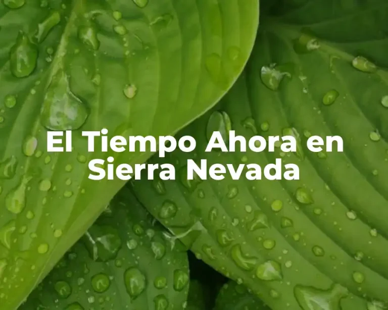 El Tiempo Ahora en Sierra Nevada