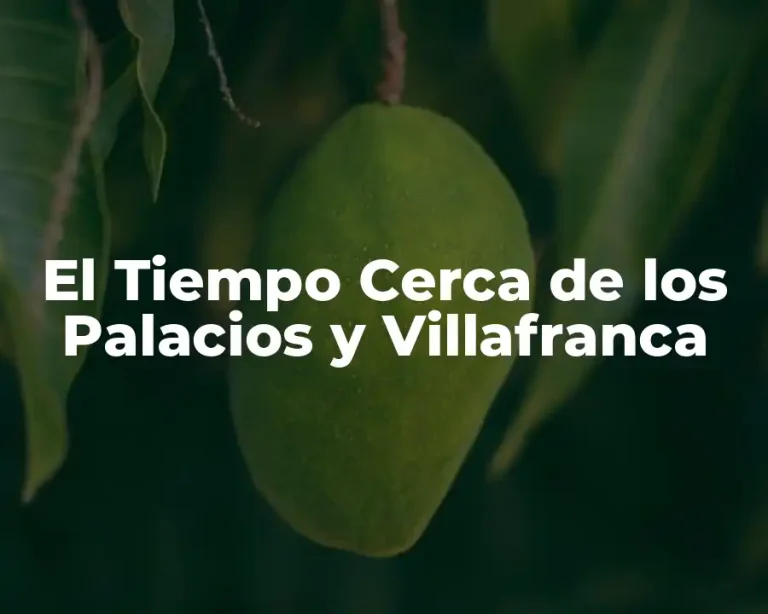 El Tiempo Cerca de los Palacios y Villafranca