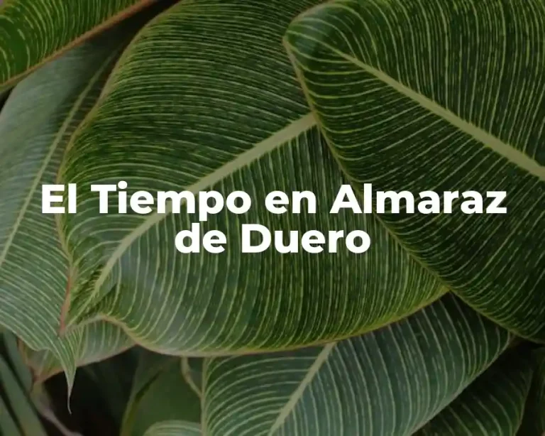El Tiempo en Almaraz de Duero