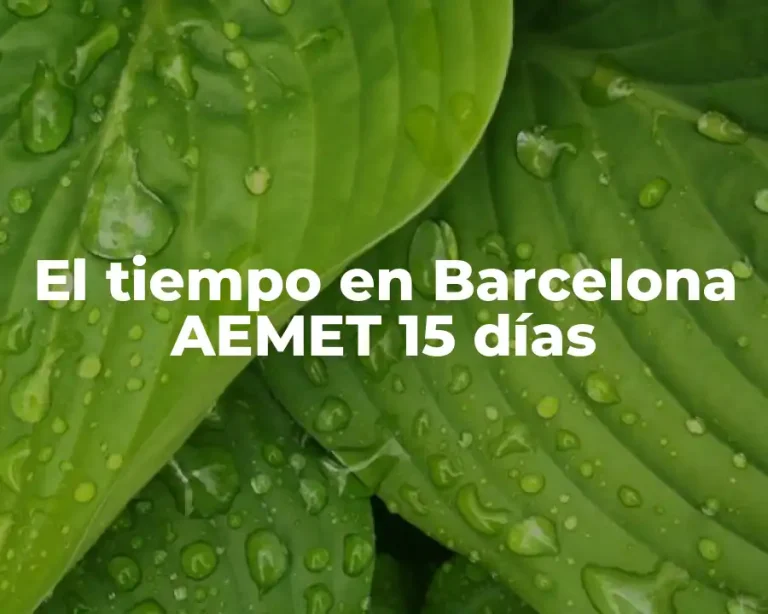 El tiempo en Barcelona AEMET 15 días