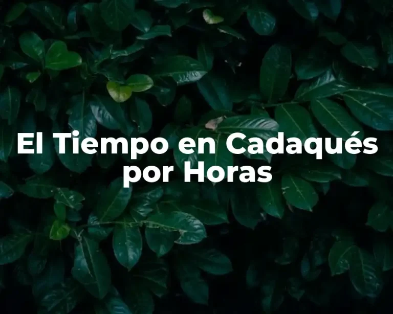 El Tiempo en Cadaqués por Horas