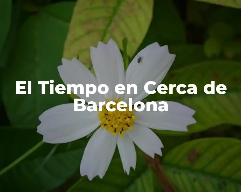 El Tiempo en Cerca de Barcelona