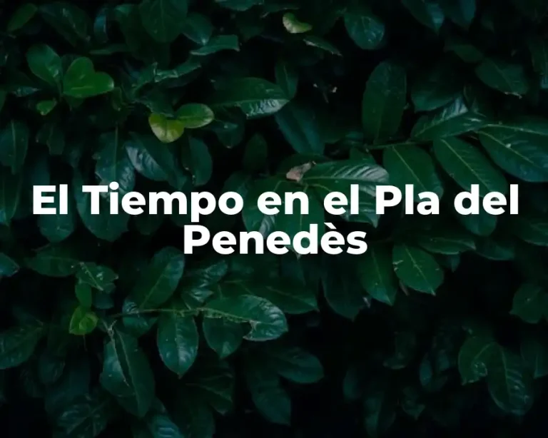 El Tiempo en el Pla del Penedès