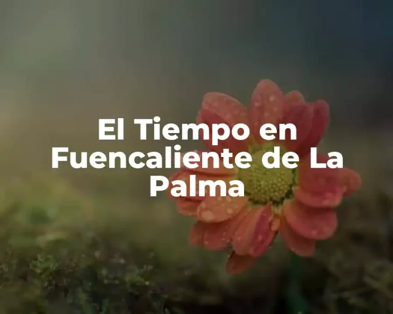 El Tiempo en Fuencaliente de La Palma