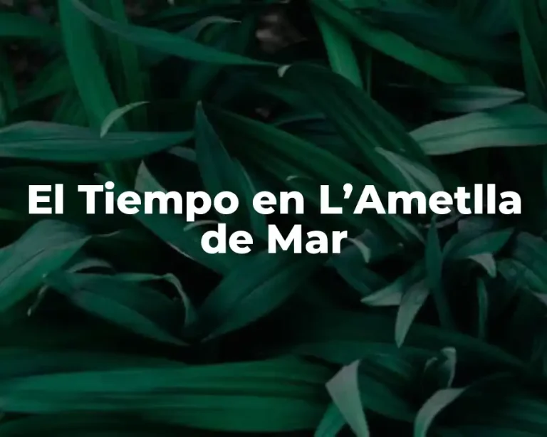 El Tiempo en L’Ametlla de Mar