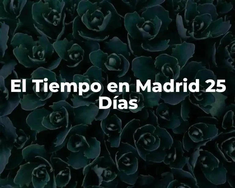 El Tiempo en Madrid 25 Días