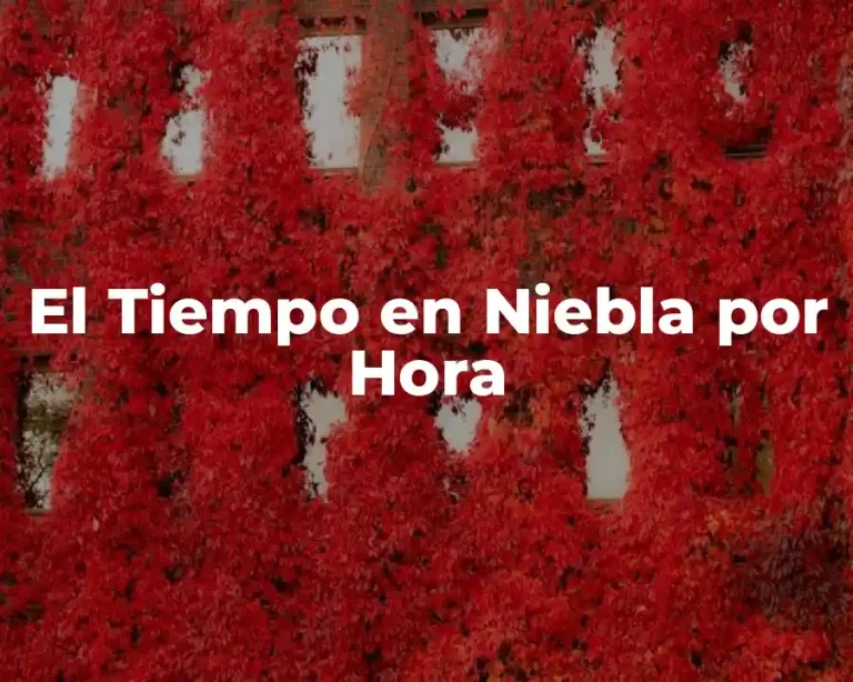 El Tiempo en Niebla por Hora