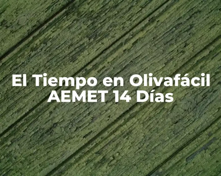 El Tiempo en Olivafácil AEMET 14 Días