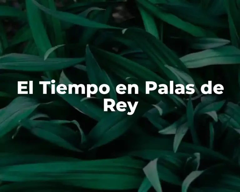 El Tiempo en Palas de Rey